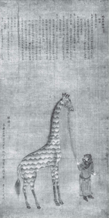 M000CDACggSDVh9kGiASnurAAD2zCQ148o684.jpg M000CDACggSDVh9kGiASnurAAD2zCQ148o684.jpg