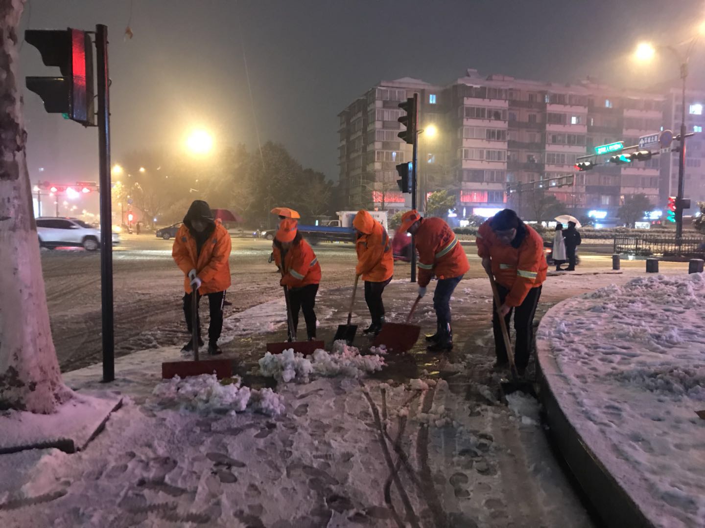 黨支部志愿抗雪.jpg