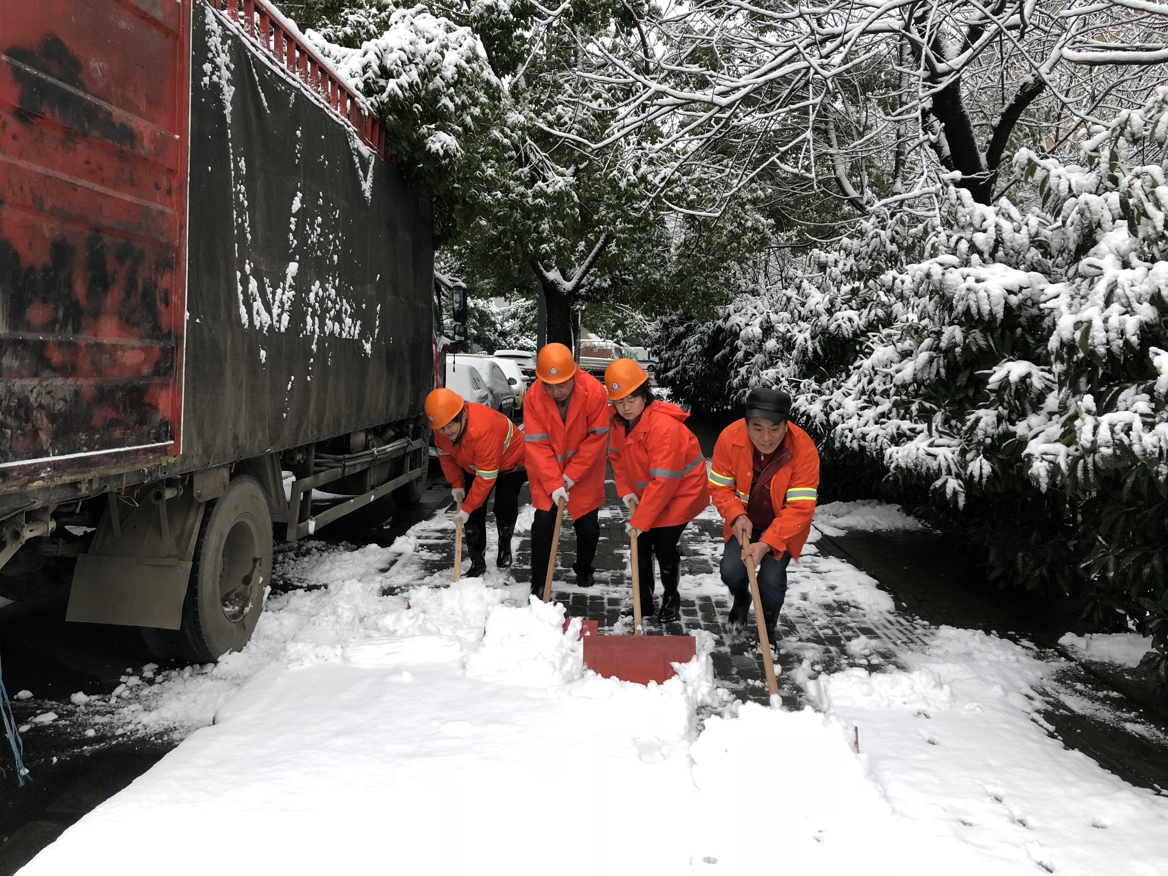 黨員志愿除雪.JPG