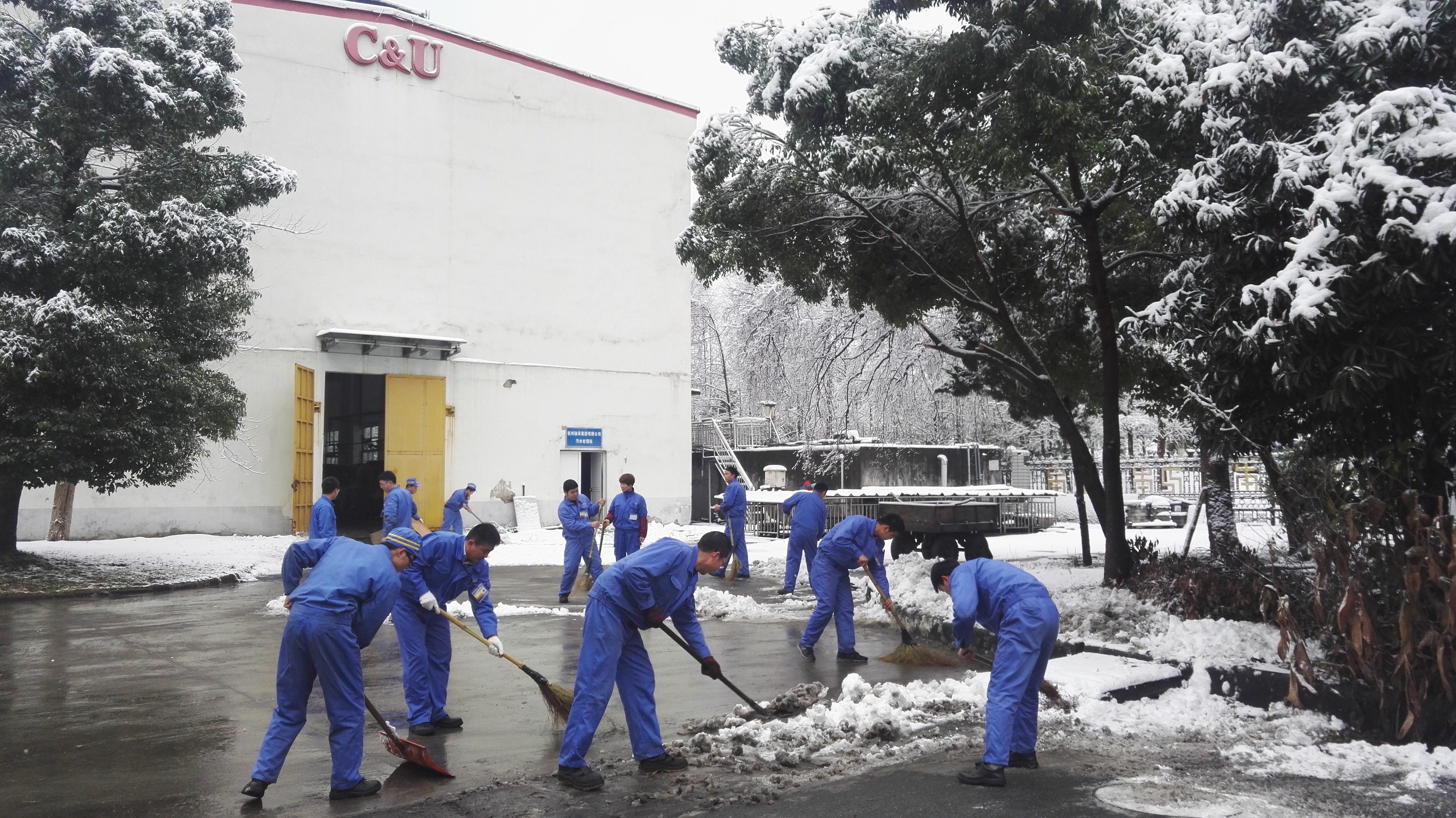 黨員帶頭義務(wù)除雪.jpg