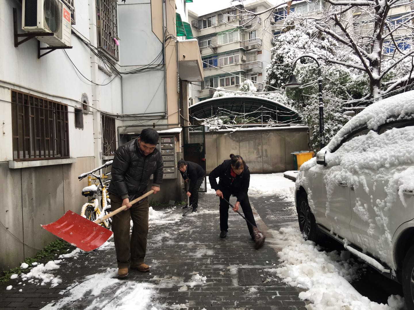 黨員參與掃雪.jpg